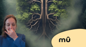 Cabinet Mû à Verneuil-sur-Seine : exercice de biofeedback et régulation du souffle par Estelle Deslage